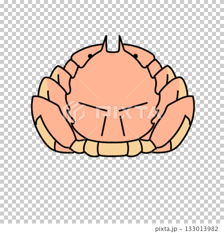 イラスト素材: 毛ガニのイラスト シンプルなベクターデザイン 133013982