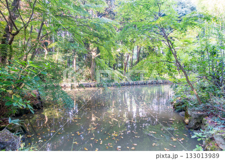 青葉神社　龍神池　池のほとりに龍神の石碑　政宗公の家臣を祀る「祖霊社」 133013989