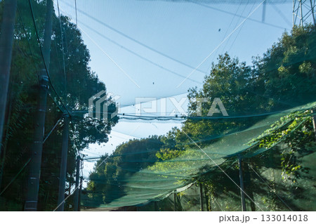 ゴルフ場近くの道路上に掛かる飛球防護柵 133014018