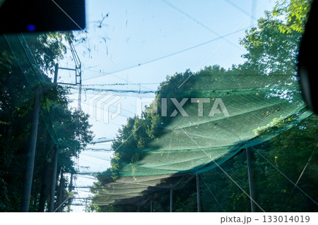 ゴルフ場近くの道路上に掛かる飛球防護柵 133014019