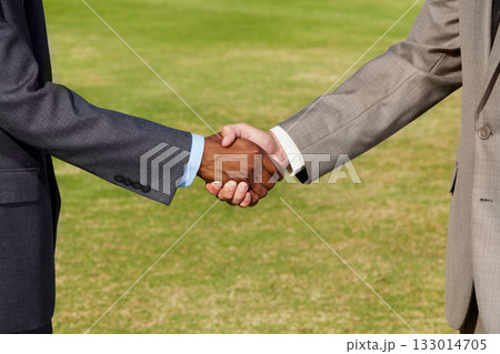 Closeup, shaking hands and business men on grass for b2b agreement, welcome and teamwork. Businessman, hand shake and collaboration for goal, deal or together for meeting, partnership or thank you Closeup, shaking hands and business men on grass for b2b agreement, welcome and teamwork. Businessman, hand shake and collaboration for goal, deal or together for meeting, partnership or thank you 133014705