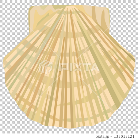 帆立のイラスト ベクター素材 帆立のイラスト ベクター素材 133015121