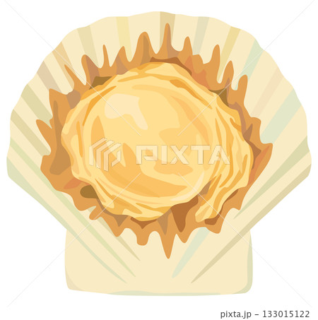 焼いた帆立のイラスト ベクター素材 焼いた帆立のイラスト ベクター素材 133015122