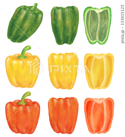 ピーマンとパプリカのイラストセット 133015125