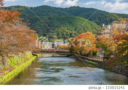 秋の琵琶湖疏水風景 京都市 秋の琵琶湖疏水風景 京都市 133015241