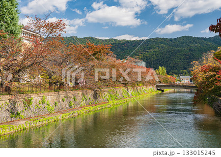 秋の琵琶湖疏水風景 京都市 秋の琵琶湖疏水風景 京都市 133015245