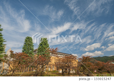 琵琶湖疏水側に立つ京都市美術館　京都市 133015247
