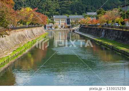 秋の琵琶湖疏水風景　京都市 133015250