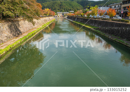 秋の琵琶湖疏水風景 京都市 秋の琵琶湖疏水風景 京都市 133015252