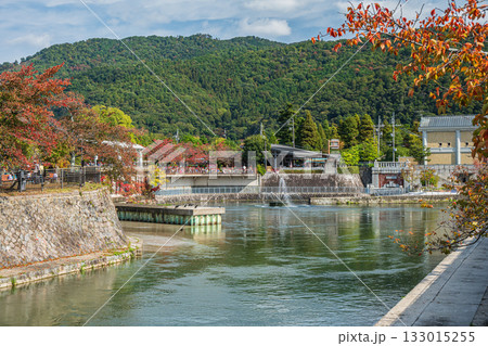 秋の琵琶湖疏水風景　京都市 133015255