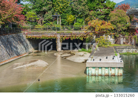 秋の琵琶湖疏水　南禅寺船溜　京都市 133015260