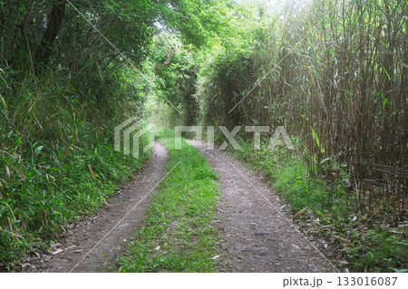 京都府木津川市の里山の風景が広がる山背古道 133016087