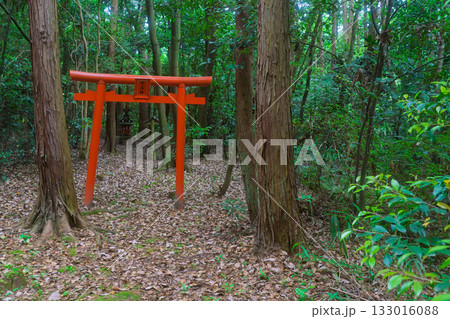 京都府木津川市の里山の風景が広がる山背古道 京都府木津川市の里山の風景が広がる山背古道 133016088