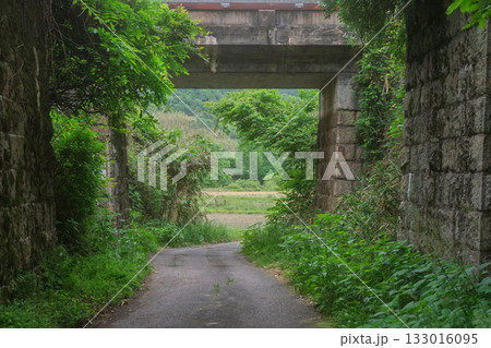 京都府木津川市の里山の風景が広がる山背古道 京都府木津川市の里山の風景が広がる山背古道 133016095