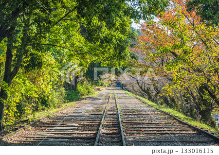 琵琶湖疏水蹴上インクライン　京都市 133016115