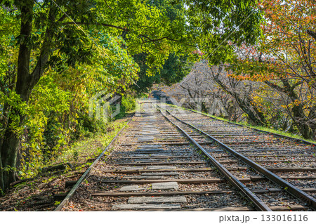 琵琶湖疏水蹴上インクライン　京都市 133016116