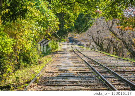 琵琶湖疏水蹴上インクライン 京都市 琵琶湖疏水蹴上インクライン 京都市 133016117