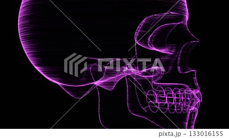 A holographic skull with a wireframe design. A holographic skull with a wireframe design. 133016155