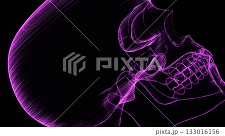 A holographic skull with a wireframe design.  133016156