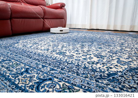 家事支援ロボット、自動掃除ロボット 家事支援ロボット、自動掃除ロボット 133016421