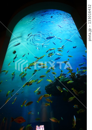 登別マリンパークニクス　クリスタルタワー 133016432