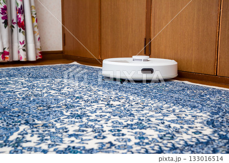 家事支援ロボット、自動掃除ロボット 家事支援ロボット、自動掃除ロボット 133016514