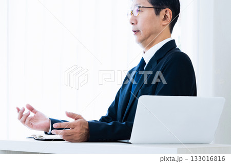 説明するビジネスマン 説明するビジネスマン 133016816