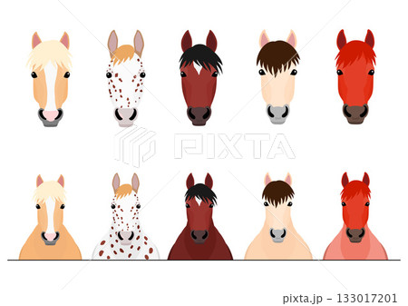 馬の上半身と顔のセット 馬の上半身と顔のセット 133017201