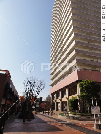 上尾駅前通り 133017405