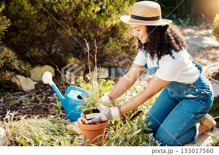 Gardening, plants and plants with a woman outdoor planting flowers or bushes in the yard as a gardener. Nature, earth day and spring with a young female in the garden for landscaping or botany 133017560
