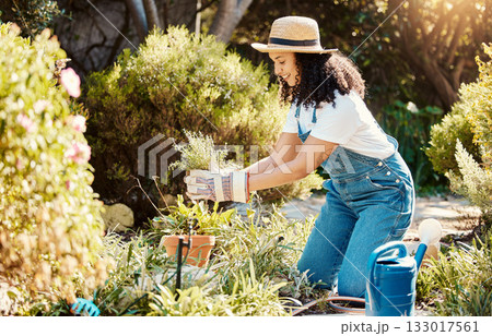 Gardener, plants and spring with a woman outdoor planting flowers or bushes in the yard while gardening. Nature, earth day and plants with a young female in a garden for landscaping or botany Gardener, plants and spring with a woman outdoor planting flowers or bushes in the yard while gardening. Nature, earth day and plants with a young female in a garden for landscaping or botany 133017561