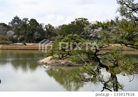 三大庭園 岡山後楽園と岡山城 三大庭園 岡山後楽園と岡山城 133017616