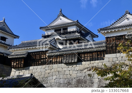 松山城・天守・城郭（愛媛県・松山市） 133017668