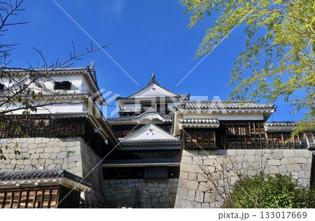 松山城・天守・城郭（愛媛県・松山市） 133017669