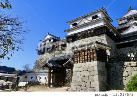 松山城・天守・城郭(愛媛県・松山市) 松山城・天守・城郭(愛媛県・松山市) 133017672