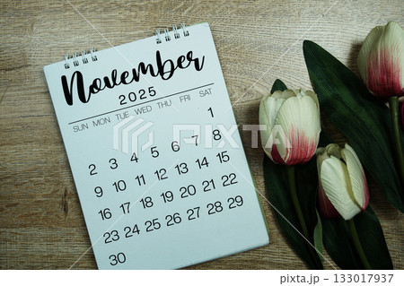 November 2025 annual monthly desk calendar for planning and management 133017937