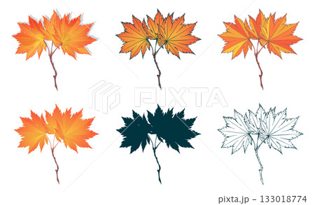 Set of hand-drawn fall colored red-yellow maple gold autumn leaves isolated on white background. Flat and line styles vector illustrations. Set of hand-drawn fall colored red-yellow maple gold autumn leaves isolated on white background. Flat and line styles vector illustrations. 133018774