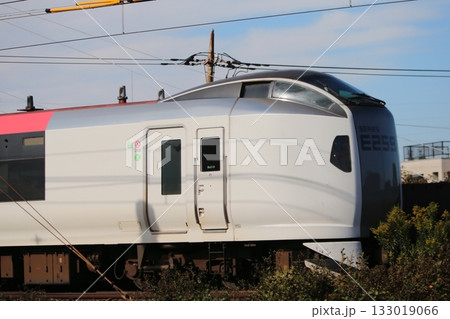成田エクスプレス 成田エクスプレス 133019066