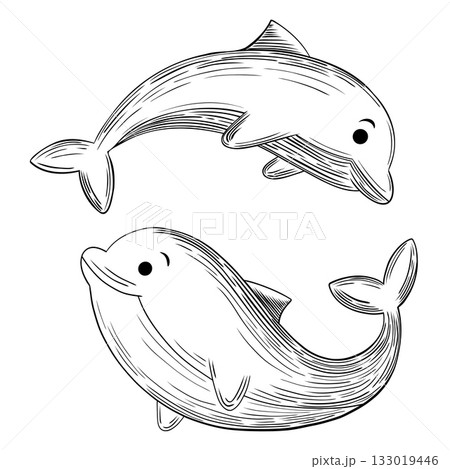 Pair of Cute Jumping Dolphins Outline 133019446