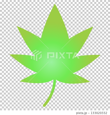 Green maple illustration, simple fresh green leaves Green maple illustration, simple fresh green leaves 133020332