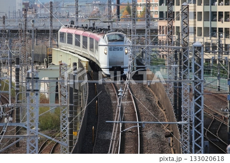 成田エクスプレス 133020618