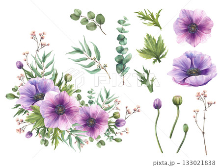 Purple Anemones flowers with pink Gypsophila buds twig and eucalyptus green branches. Watercolor painted floral element set. for greeting card, invitation design. Isolated from background illustration 133021838