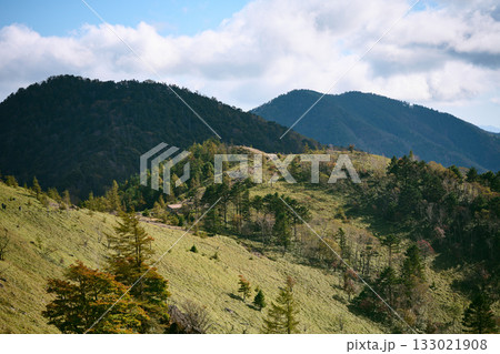 大菩薩嶺の登山道 大菩薩嶺の登山道 133021908