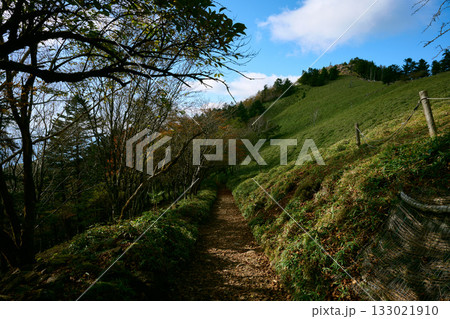 大菩薩嶺の登山道 大菩薩嶺の登山道 133021910