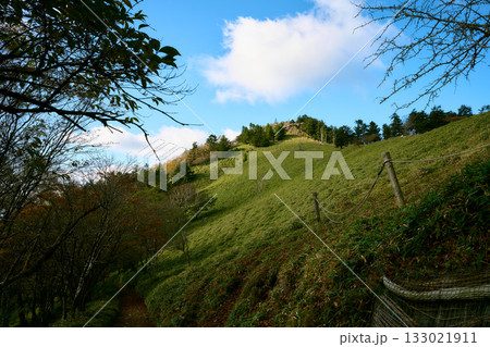 大菩薩嶺の登山道 大菩薩嶺の登山道 133021911