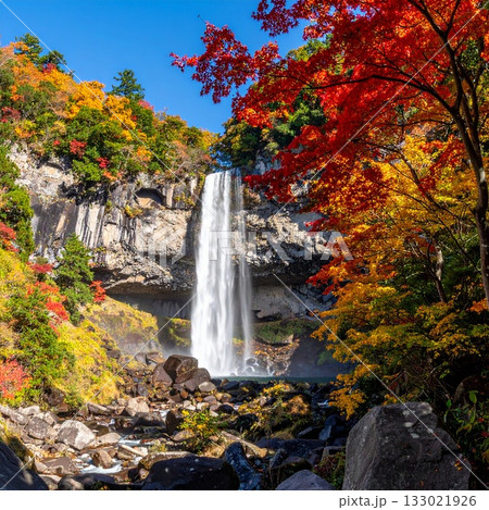【AI生成画像】紅葉に囲まれた美しい滝の風景 133021926
