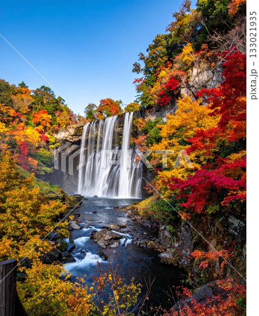 【AI生成画像】紅葉に囲まれた美しい滝の風景 【AI生成画像】紅葉に囲まれた美しい滝の風景 133021935