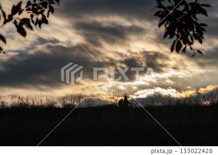 冬の日没・日暮れの風景 冬の日没・日暮れの風景 133022428