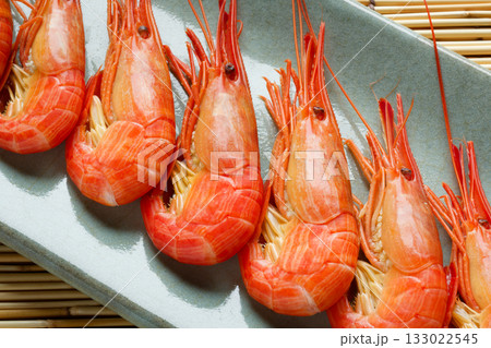 北海シマエビ 北海シマエビ 133022545