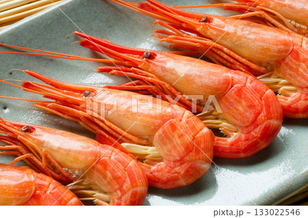 北海シマエビ 133022546